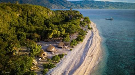 experience  philippine marine life    diving spots