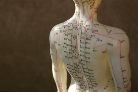 deadly  pressure points top   dangerous