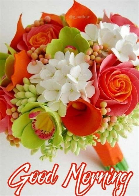 Good Morning Picture Image Hd Rose Flower