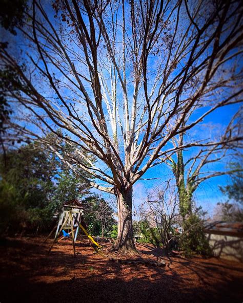 Josh - ⚓️Anchor Gaston⚓️ - Now open!!! For years my heart has wanted to