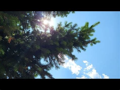 Пломбирное молоко - YouTube