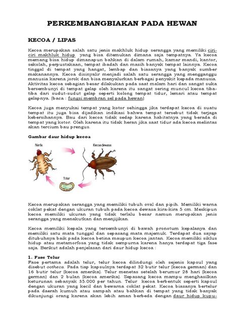 Metamorfosis Kecoa Pdf