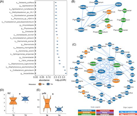 Bidirectional Mediation Effects Between Intratumoral Microbiome And