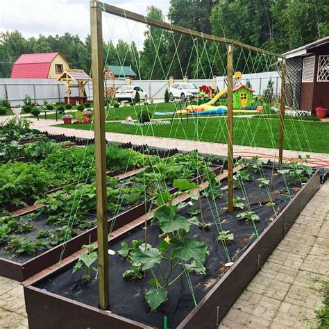 Грядка с огурцами. Постелен геотекстиль и установлены шпалера👍 Хозяйка ...