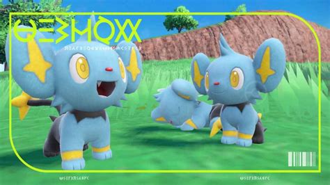 Meilleure nature pour Shinx Luxio et Luxray dans Pokémon Écarlate Violet