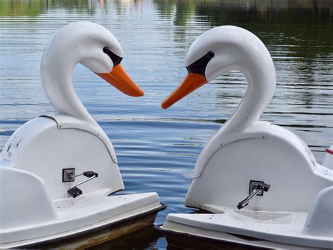 Riva Row Boat House | The Woodlands, Texas