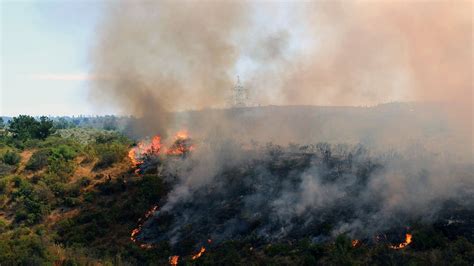 Onemi Se Refiere A Situación De Incendios Forestales Y Llama A Actuar