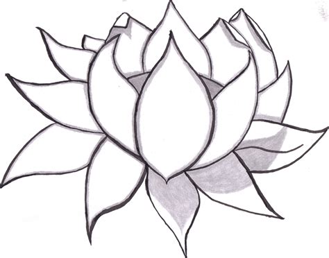 Shading Drawing Of Flowers at GetDrawings | Free download
