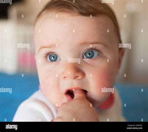 Baby Girl Hand Mouth Babe Babies Human Babies Girls Hands Mouths Stock Photo Alamy