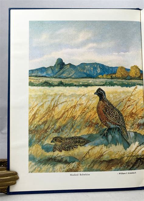 The Birds Of Arizona Natural History Books
