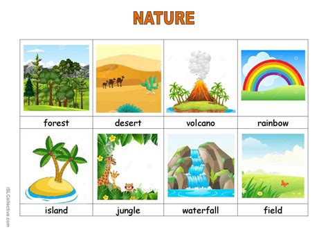 vocabulary  kids