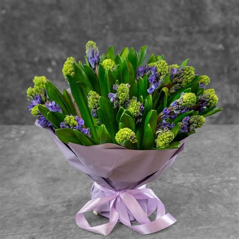 Букет из гиацинтов (52 фото)