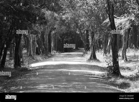 Beautiful Landscape Pictures In Sri Lanka Visit Sri Lanka Stock Photo