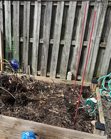 Those pesky tomato vines… : r/gardening
