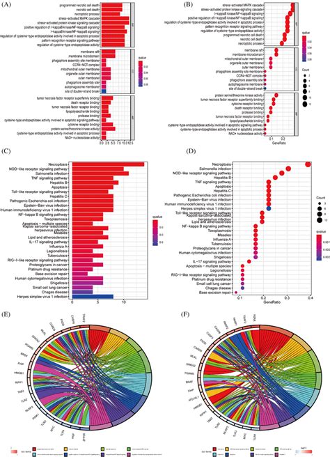 Gene Enrichment And Pathway Analysis Ab Gene Ontology Enrichment