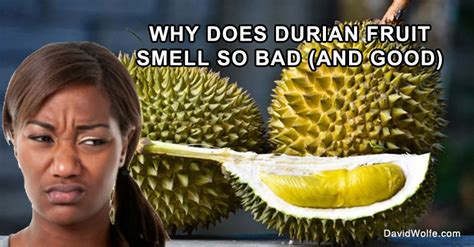 Durian Fruit - David Avocado Wolfe