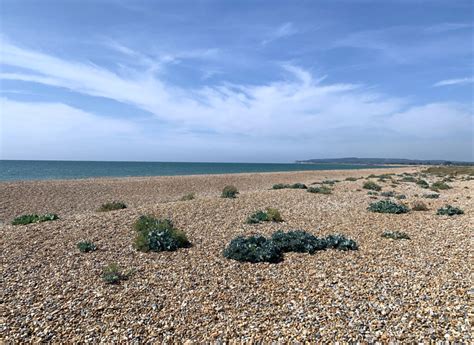 Rye Harbour Beach Rye Harbour In East Sussex