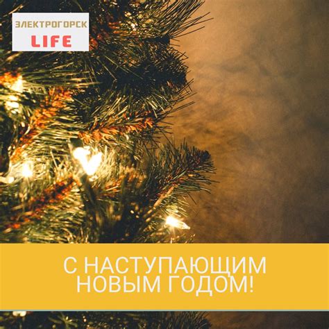 Электрогорск Life | ВКонтакте