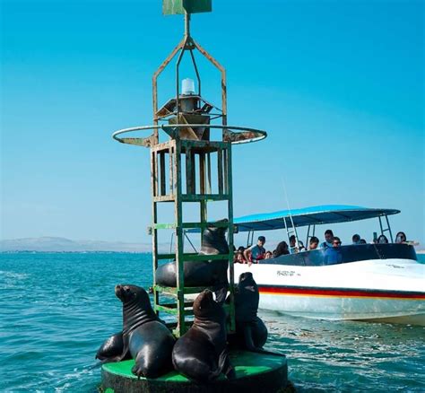 Huacachina Tour From Lima Full Day Best Of Karikuy Tours 2026