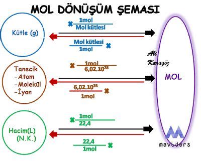 Mavi Ders Al Karag Z Endokrin Sistem E Itim Felsefesi Kimya