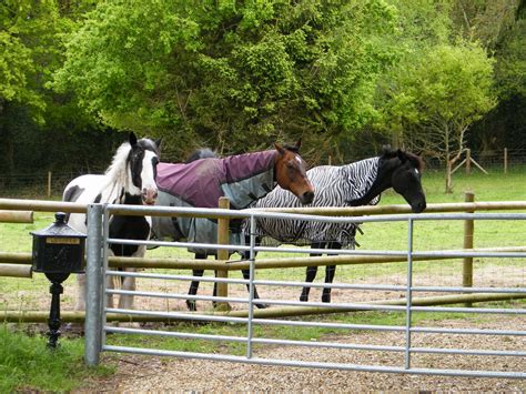 Dorset Group 14 May 23 All Around Horton Gay Outdoor Club