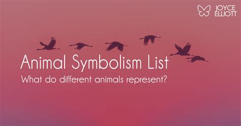 Animal Symbolism List What Do Different Animals Represent