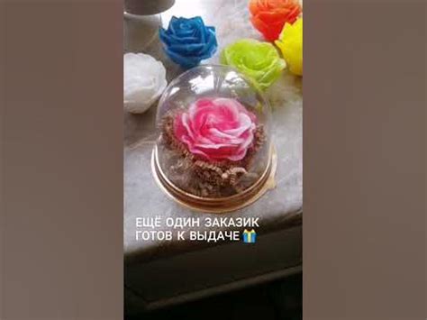 цветок в куполе - YouTube