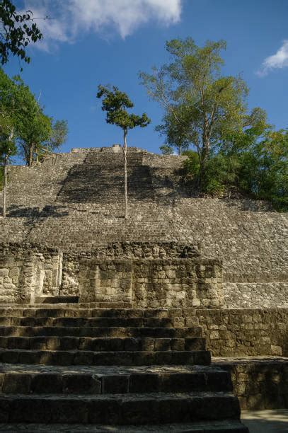 190 Keju Pyramide Foto Foto Foto Stok Potret And Gambar Bebas Royalti