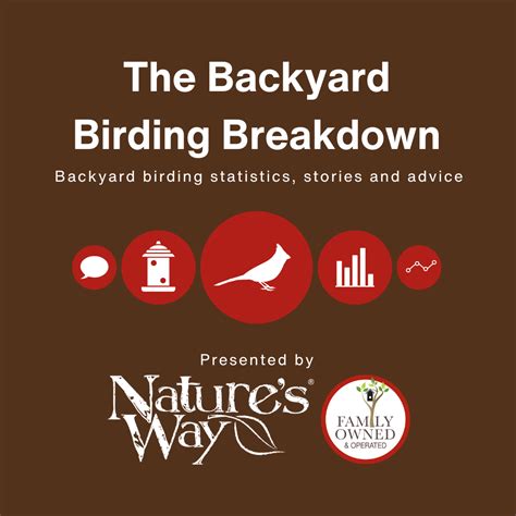 The Backyard Birding Breakdown Backyard Birding Statistics Stories A