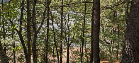Chapel Gorge Trail, Wisconsin - 1,127 Reviews, Map | AllTrails
