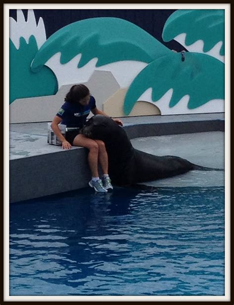 Fun Things to Do At New York Aquarium