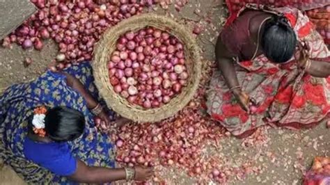 Govt Allows Onion Exports To Bangladesh Mauritius Bahrain Bhutan