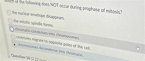 Solved Which of the following does NOT occur during prophase | Chegg.com
