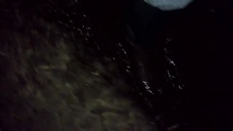 Wellies Porn Videos Free XXX Rated Sex Videos 2025 XHamster