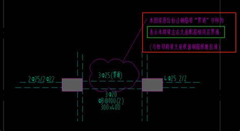 请问各位老师，梁的原位标注贯通怎么设置？这样设置对吗？谢谢 服务新干线答疑解惑