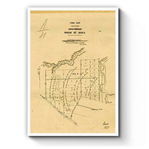 Avoca Victoria Australia Vintage Map 4 1859 Vintage Maps
