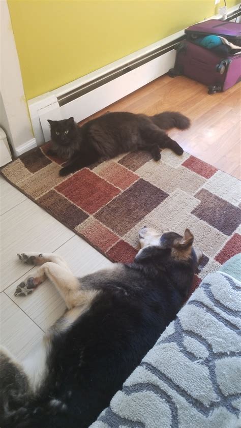 Two Bros Chilling On The Floor Feet Apart Cause They Re Not Gay R Aww