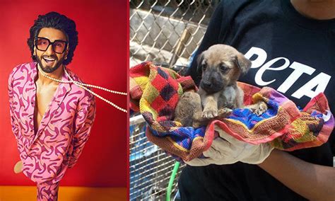 Ranveer Singh invited by PETA to again pose nude for their Try Vegan campaign வலஙககள