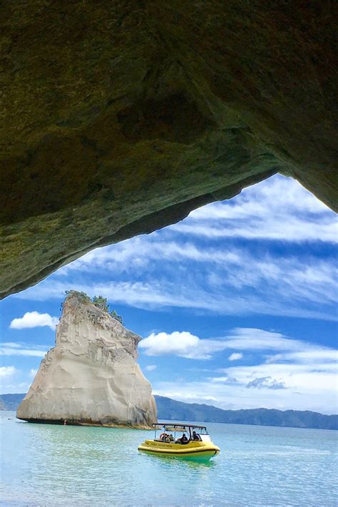 coromandel peninsula fullers