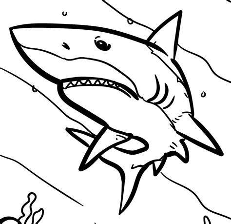 Megalodon Shark Coloring Page Free Printable Coloring Pages For Kids