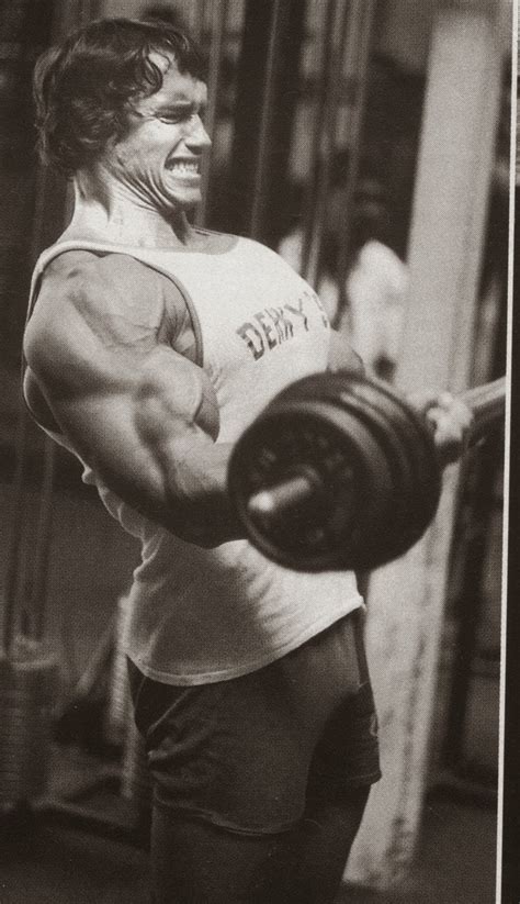 The Tight Tan Slacks of Dezso Ban: Biceps Training - Arnold Schwarzenegger