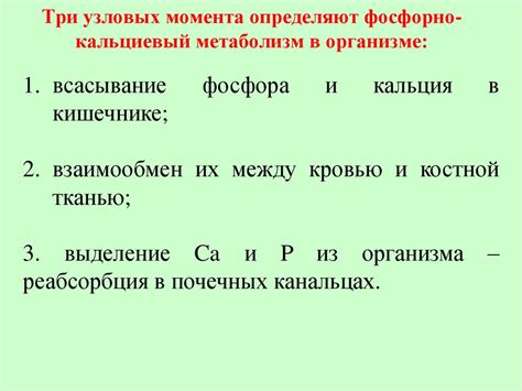 Регуляция кальциевого и фосфорного обмена - презентация онлайн