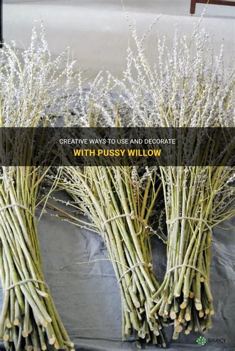 Creative Ways To Use And Decorate With Pussy Willow Shuncy