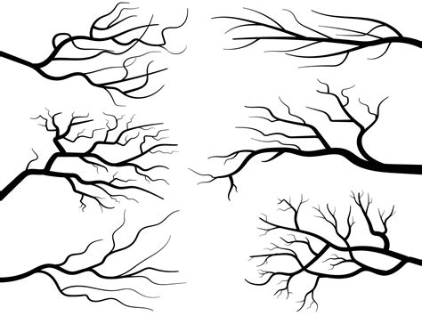 Black Branch Tree Or Naked Trees Silhouettes Set Hand Drawn Isolated Illustrations
