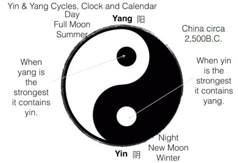 Ying Yang Meaning 24 Hour Yin & Yang Cycle 