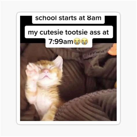 My Cutesie Tootsie Ass At Am Sticker For Sale By Jsd Redbubble
