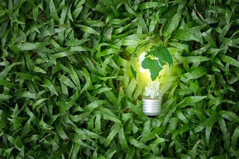 Energía Renovableprotección Del Medio Ambiente Fuentes De Energía