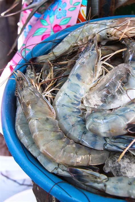 Ceviche Ville Traveling To Mexicos Riviera Nayarit For A Famed Fish Dish