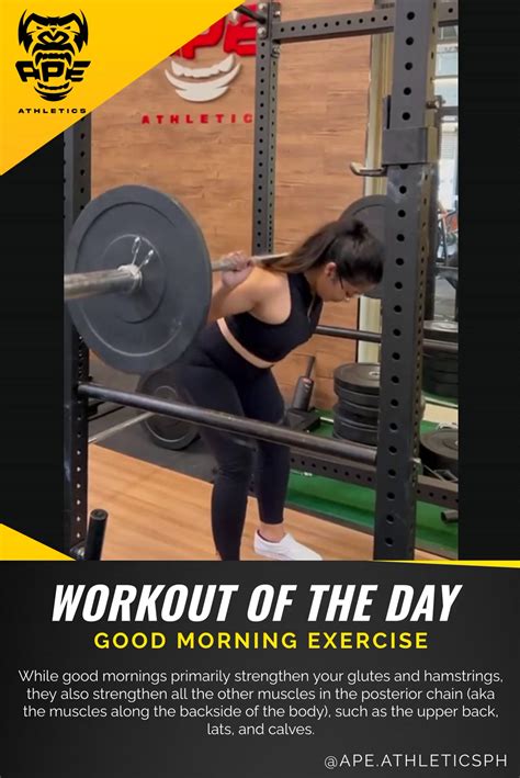 The Good Morning Exercise Works The Hamstrings Back Glutes And Abs