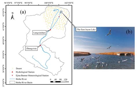 Ecological Water Demand Estimations for Desert Terminal Lake Survival